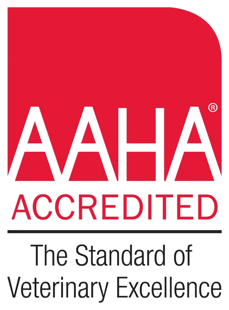 AAHA Accredited: The Standard of Veterinary Excellence