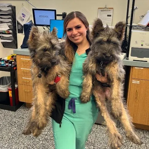 Team member Brenda holding two shepherd puppies