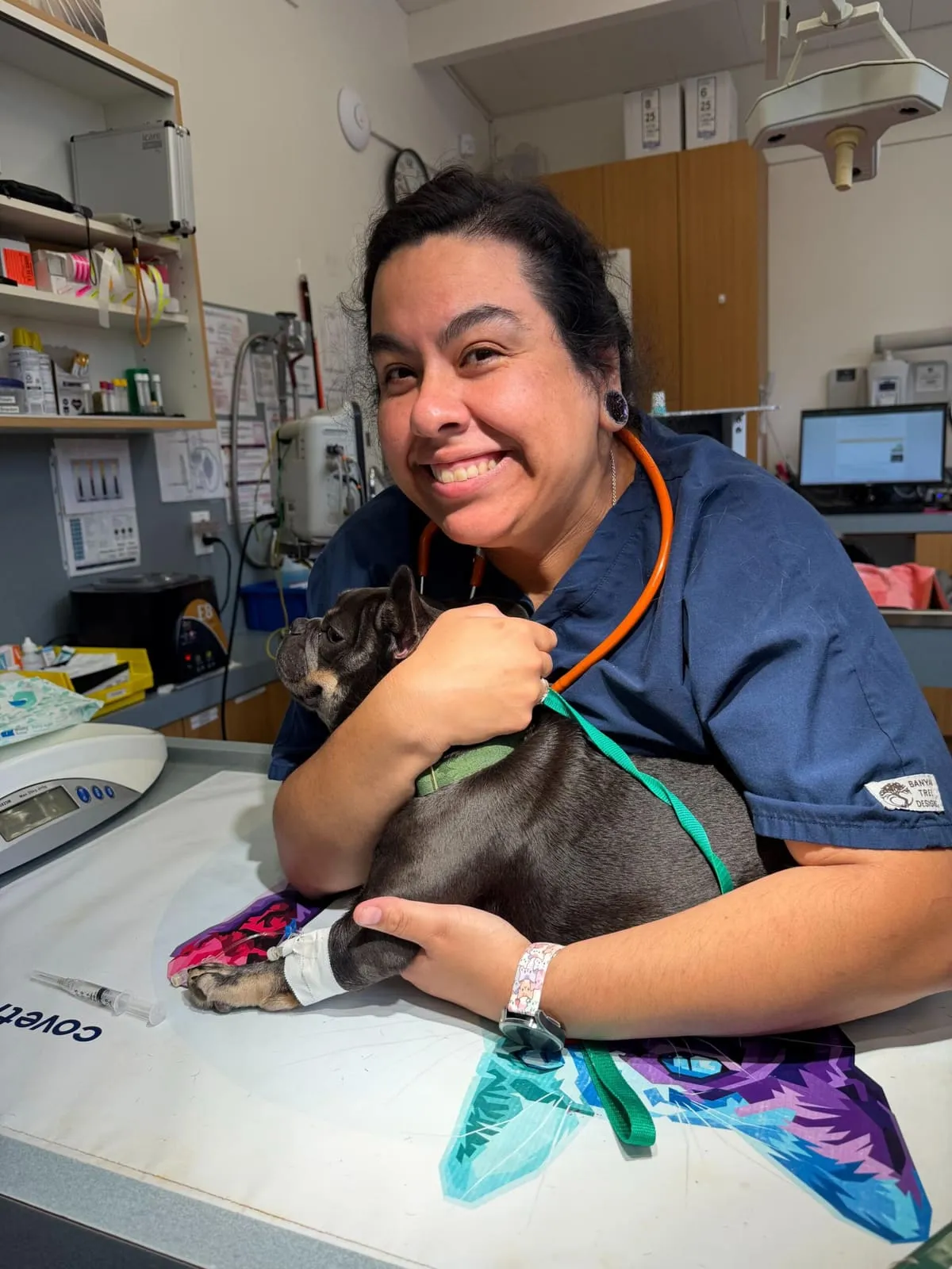 A team member cuddling a cat wrapped in a mermaid-tail blanket on the exam table