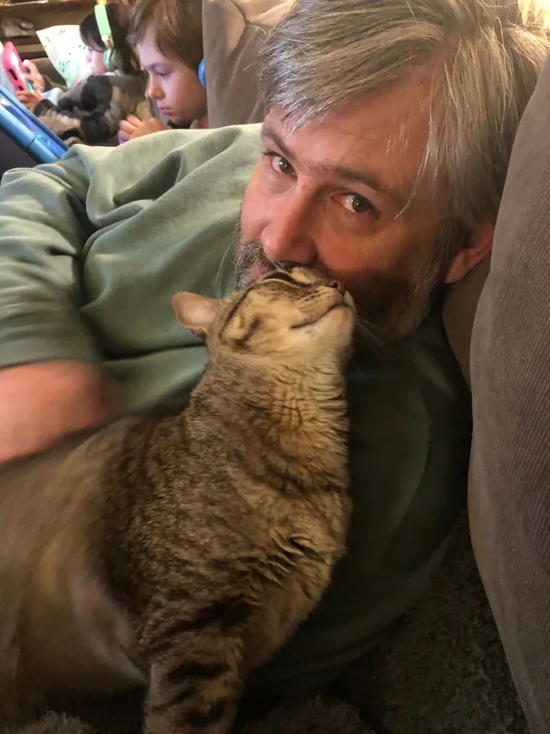A man getting a nuzzle from his tabby cat