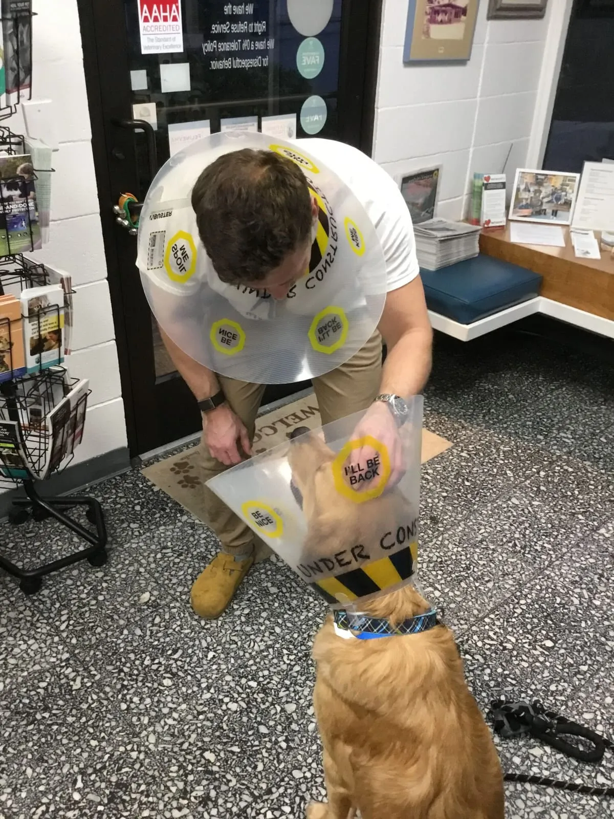 A man in a cone collar standing with a golden retriever also wearing a cone