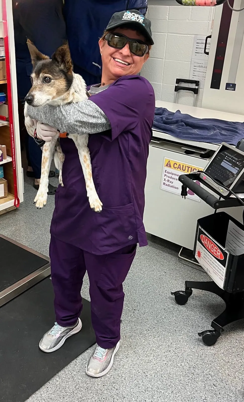 A team member in purple scrubs carrying a small dog