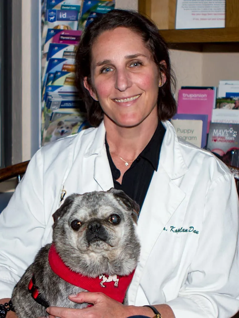 Dr. Kaplan Dau in her white coat holding a pug