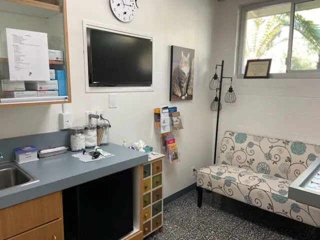 An exam room with a cushioned bench and a TV