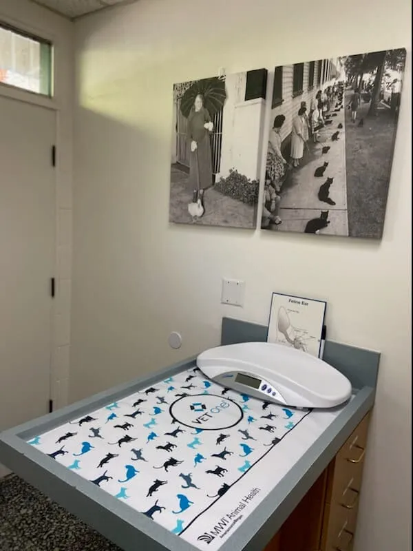 An exam room with a scale and framed beach photos
