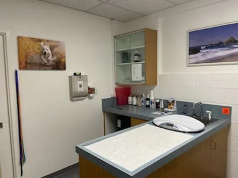 A bright exam room with a padded exam table