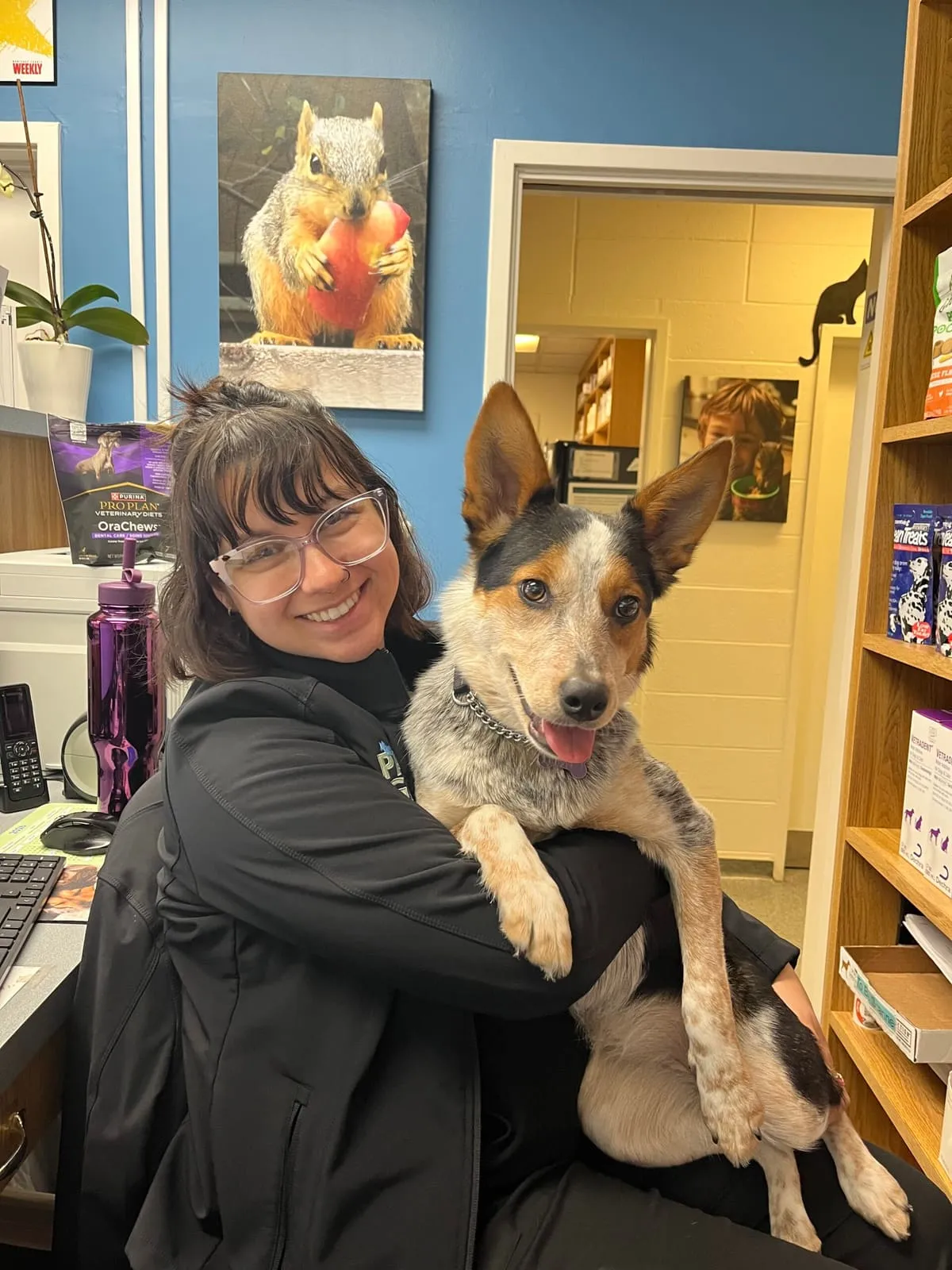 A team member hugging Filly, a cattle dog mix