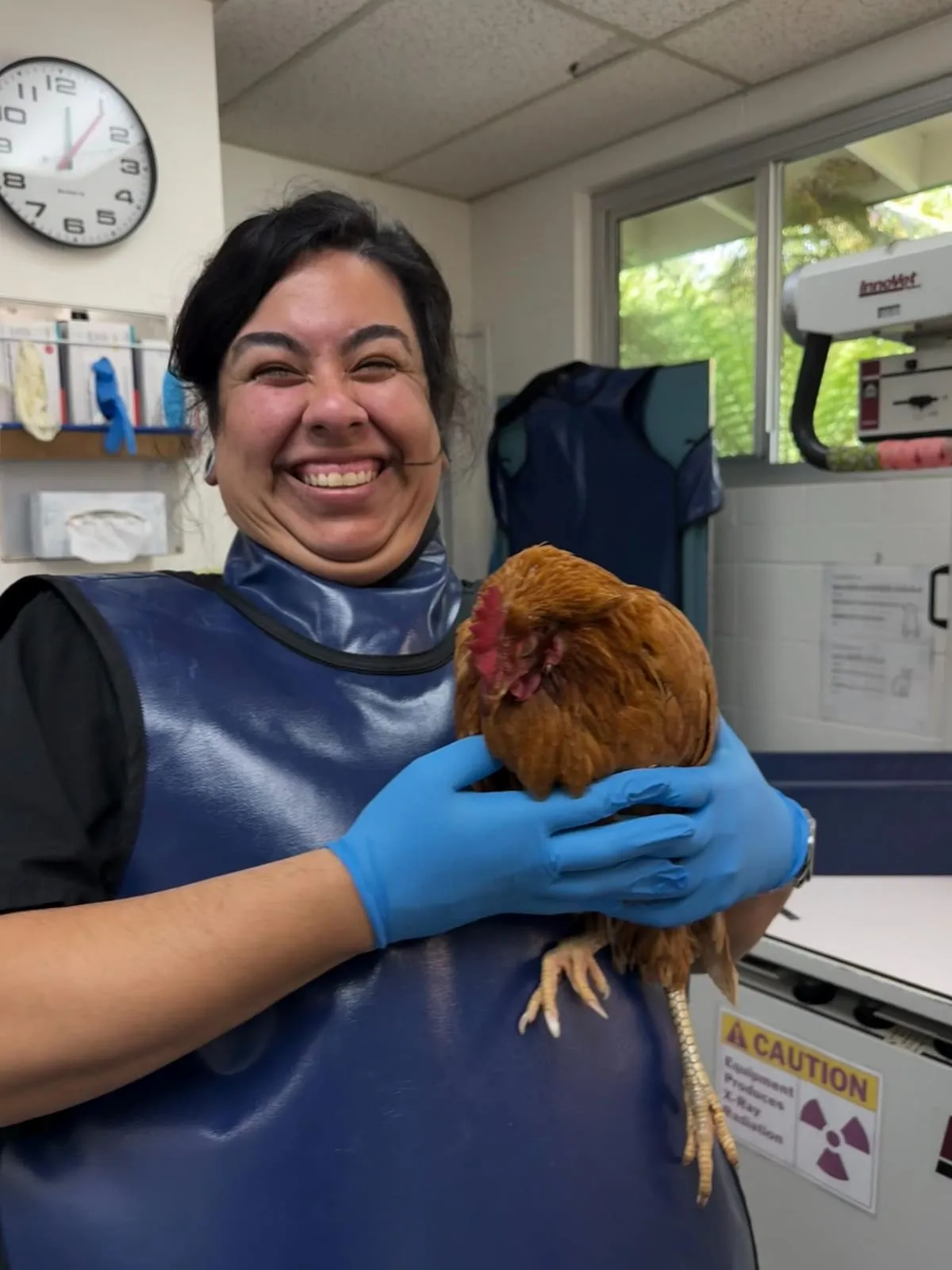A smiling team member holding a brown chicken
