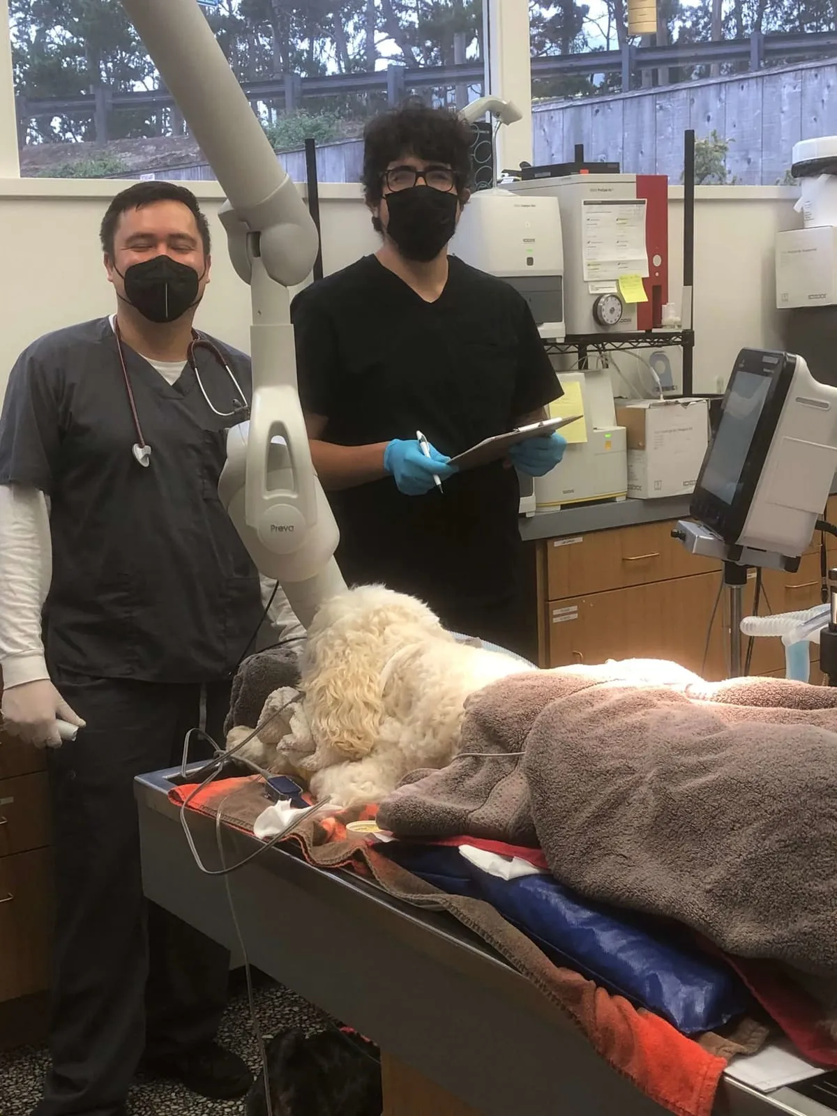 Two team members in masks beside a patient on the treatment table