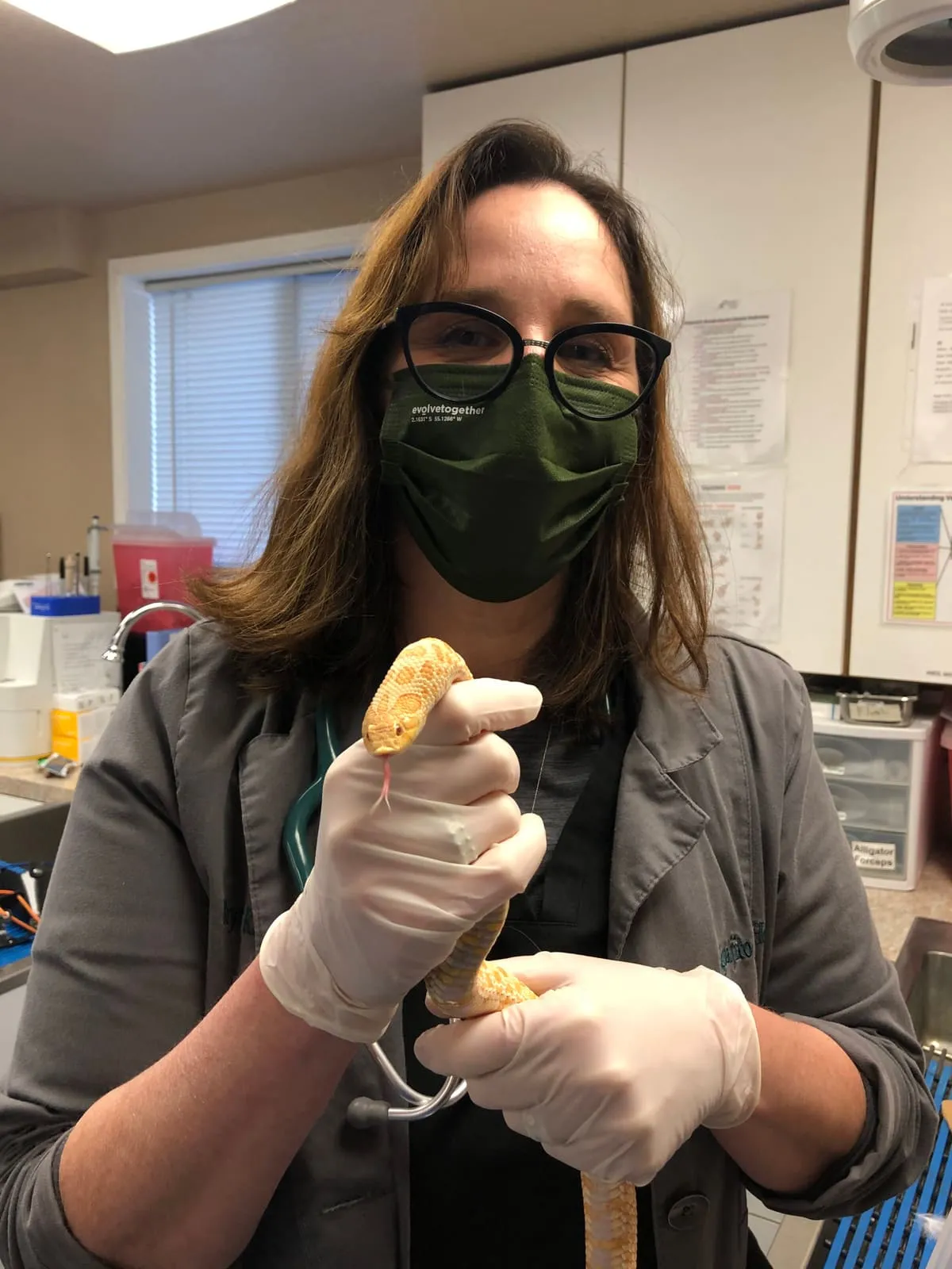 A team member in a mask and gloves holding up a treat