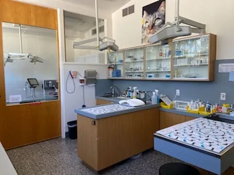 The treatment area with exam tables and supply cabinets