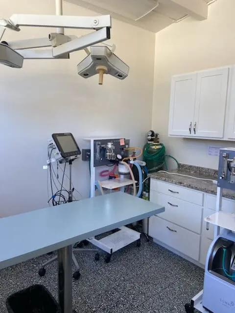 The treatment room with an exam table and surgical lights