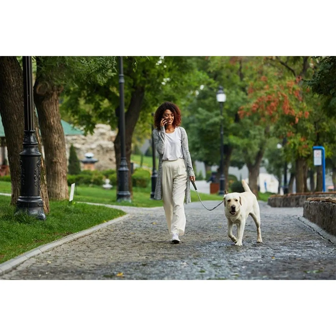 Woman walking a yellow Labrador on a leash along a park path