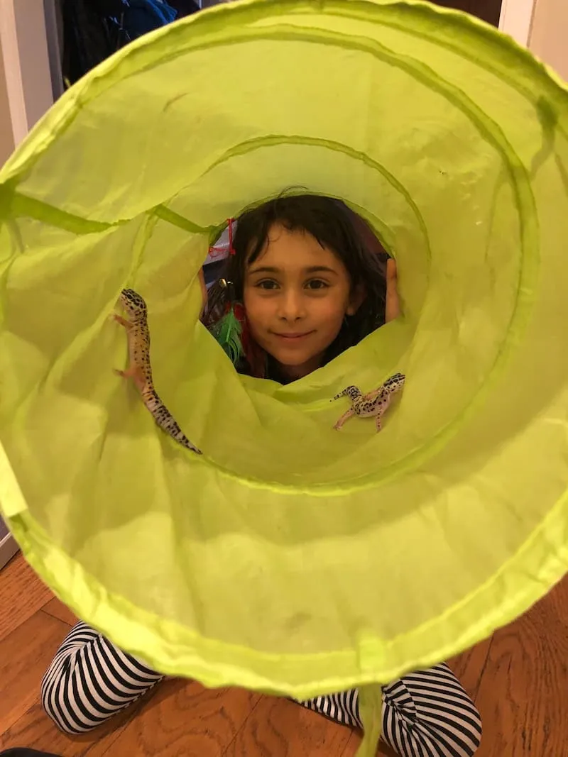 A child peeking through a green pet play tunnel