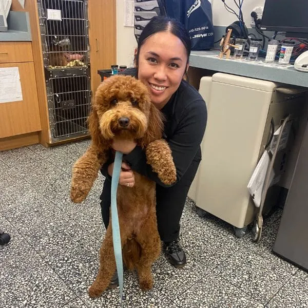 Team member Victoria with a curly-coated dog