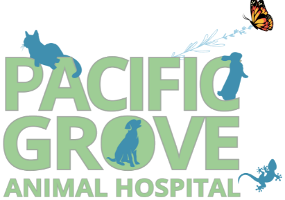 Pacific Grove Animal Hospital
