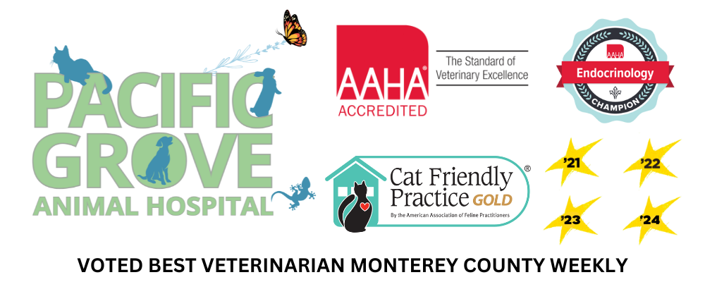 Pacific Grove Animal Hospital