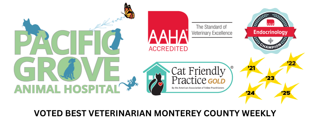 Pacific Grove Animal Hospital