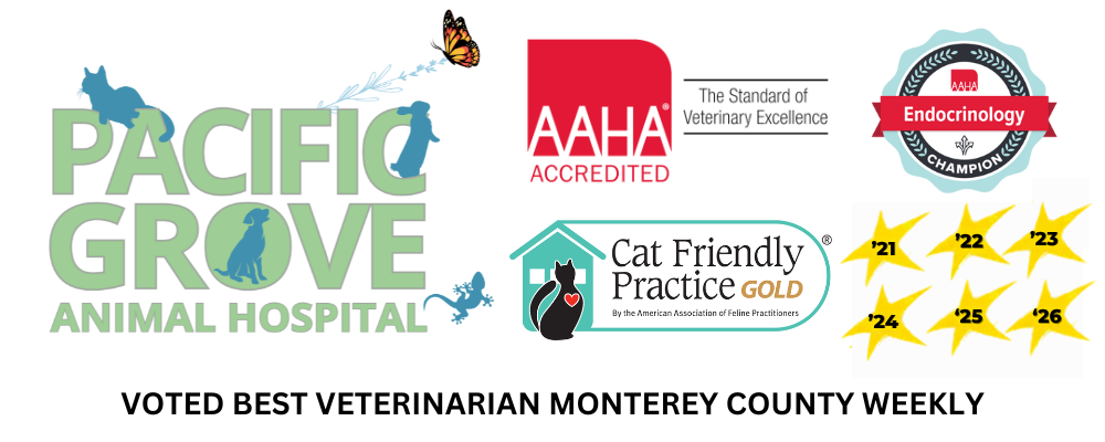 Pacific Grove Animal Hospital